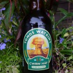 Tomos Watkins CWRW HAF (4.2%)