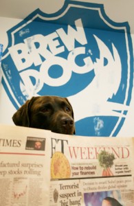 Bracken BrewDog