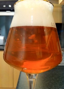 Brewdog Punk IPA