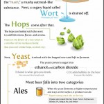20 things worth knowing about beer
