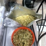 Hops ready for the brew