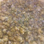 Hops steeping